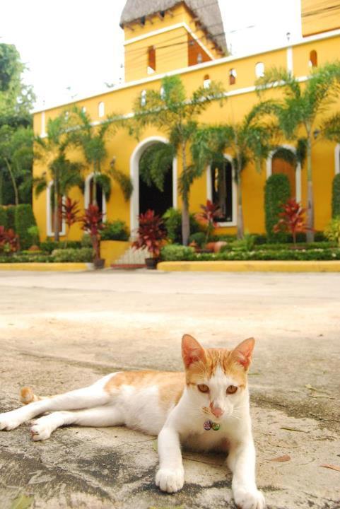 Riad Hua Hin Exterior photo